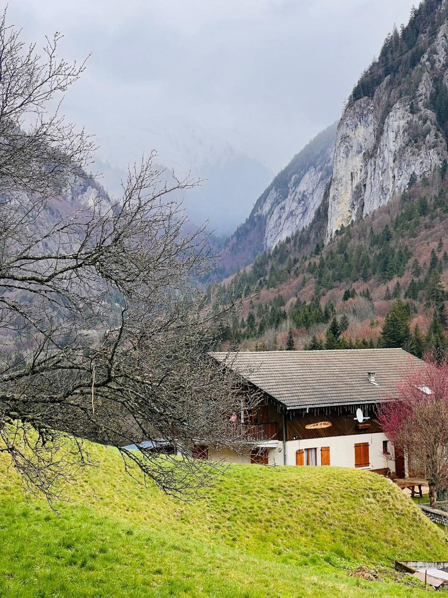 Chalet Du Bonheur Vila Bonnevaux  Exterior foto